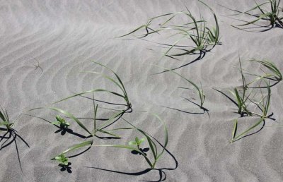4 sand imitating ocean waves