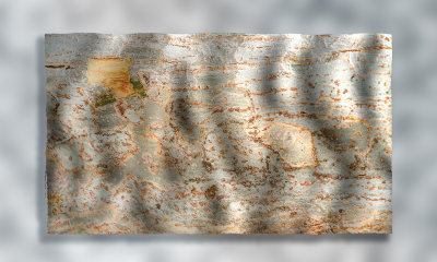 Flag 4-2018: Peeling Bark