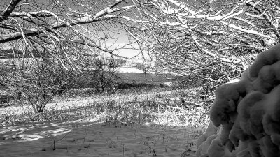 snow pond front door 11-21-2015 BW 900pxl-085611.jpg