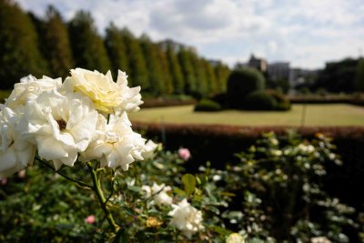 Shinjuku Gyoen - 3