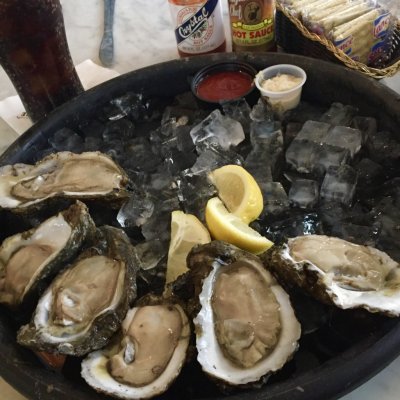 A half dozen fat Gulf oysters
