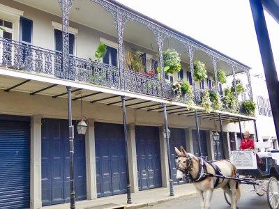 Horse and carriage