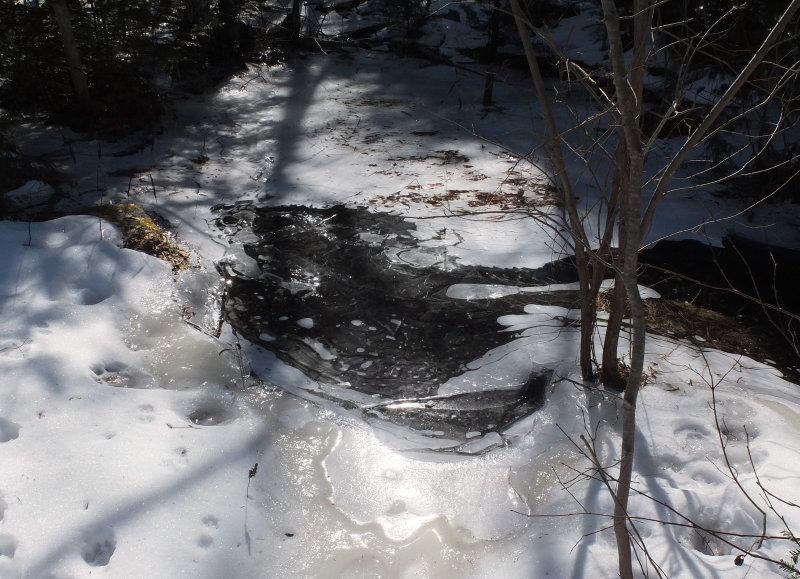 Stream Branch Lake 3-6-17.jpg