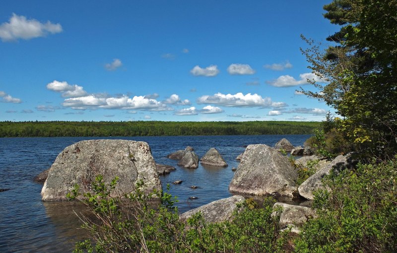 Branch Lake  Looking North  6-2-17.jpg