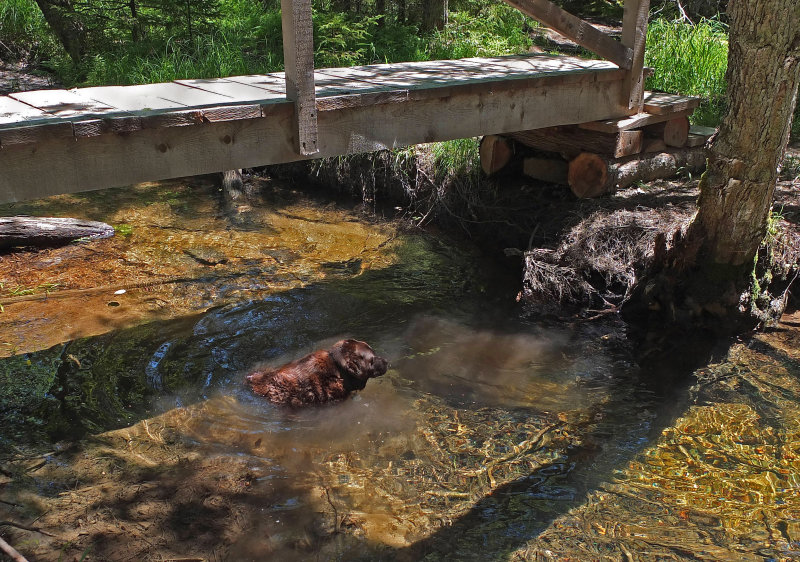 Kelley - Jordan Stream 6-25-17.jpg