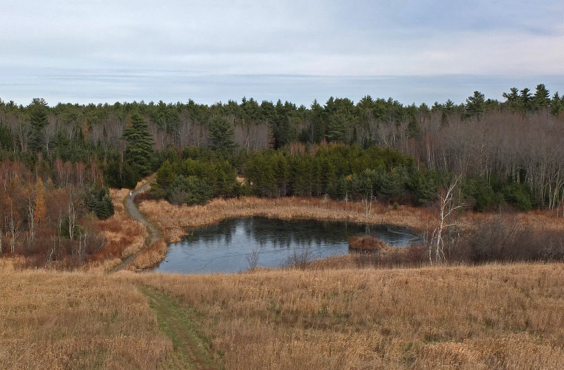 Beaver Pond City Forest 11-12-17.jpg