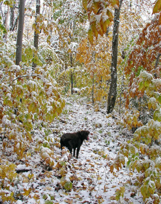 Kelley trail in Little Moose 10-14-09-ed-pf.jpg
