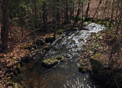 Small Stream  Kenduskeag Trail 5-3-17.jpg