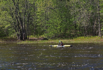 Kayaker Kenduskeag Stream 5-21-17.jpg