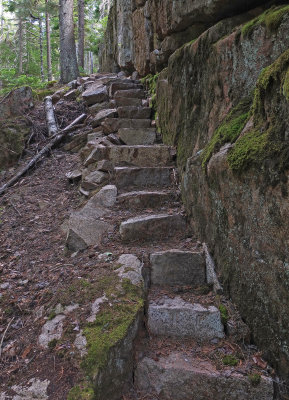 New Trail from  Harbor Brook 6-15-17.jpg