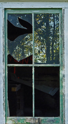 Window - Bangor 11-5-11-pf.jpg