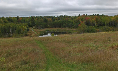 Beaver Pond City Forest  9-19-17.jpg