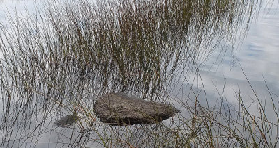 Ducktail  Pond c 10-7-17.jpg