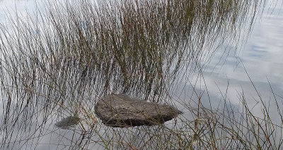 Ducktail  Pond c 10-7-17.jpg