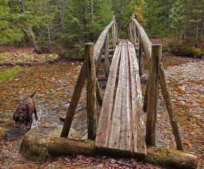 Kelley - Bridge Over Little Harbor Brook 4-15-13-pf.jpg