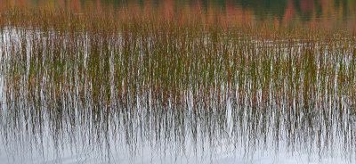 Reeds Ducktail Pond  c 10-1-14-ed jpg.jpg