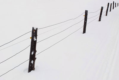 Fence - Paul Bunyan Trails 3-21-15-ED.jpg