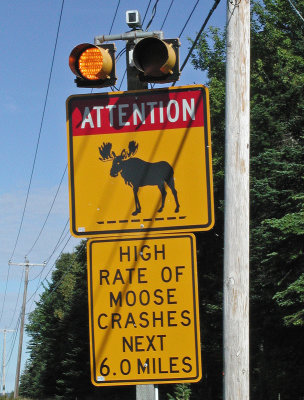 moose sign 8-28-09.jpg