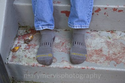 IMG_2223.jpg