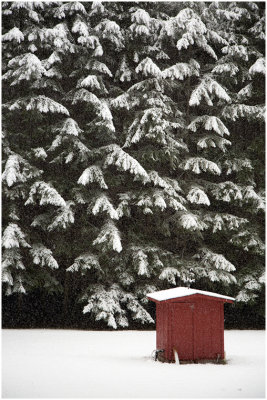 R_BriansP_Red Shed in Snow.print.jpg