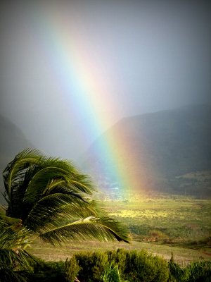 Somewhere over the rainbow ......