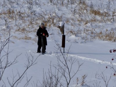 Checking bird houses in the meadow *see note below*