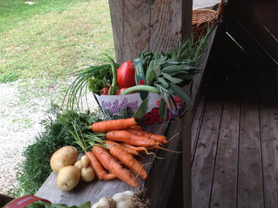 Organic produce in our back yard!