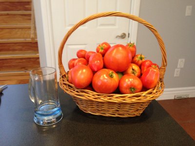 One cannot have too many tomatoes!