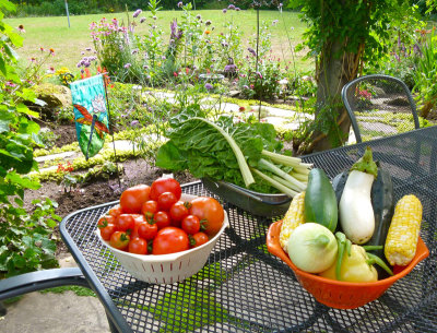Bountiful organic produce grown in one's back yard!