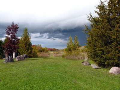 A view of the trails from the area near the vegetable garden