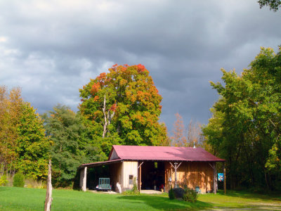 A view of the shed