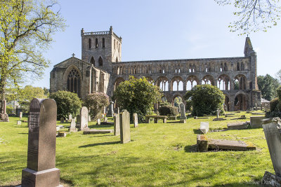 Jedburgh Abbey