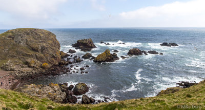 St. Abbs Head