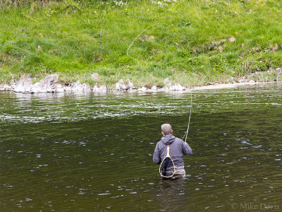 Salmon Fisherman on the River Tweed