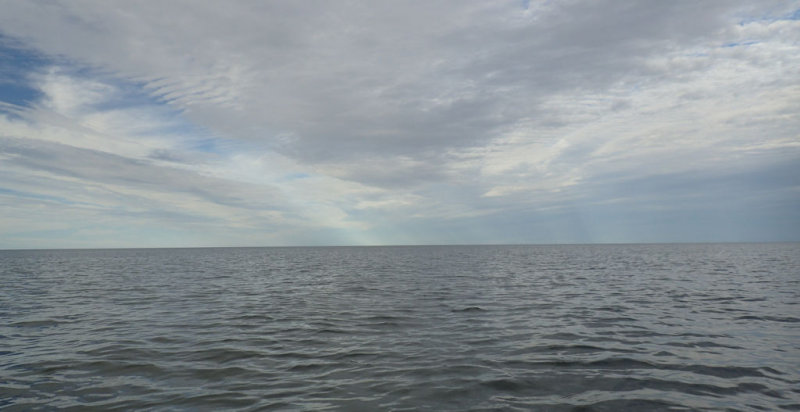 P7120007.jpg