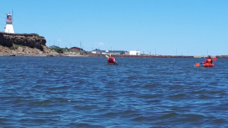 20180707_134543(0c).jpg