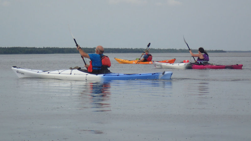 P9020050.jpg