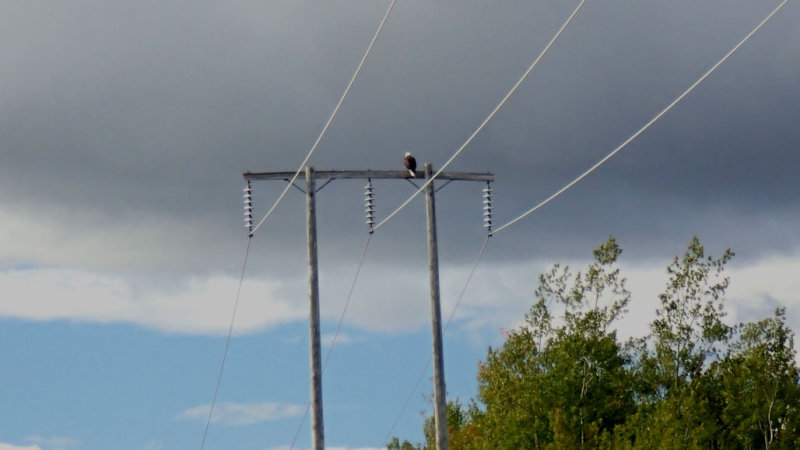 P9290096.jpg