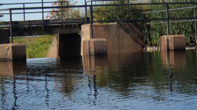 P9050004.jpg