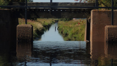 P9050006.jpg