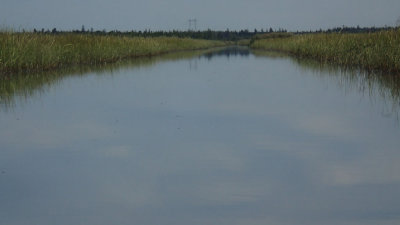 P9050011.jpg
