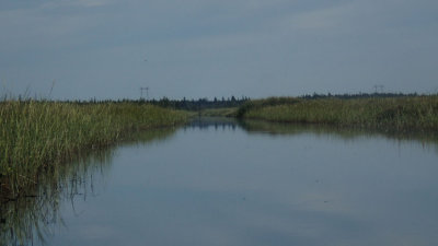 P9050017.jpg