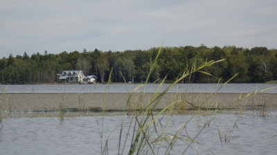 P9050023.jpg