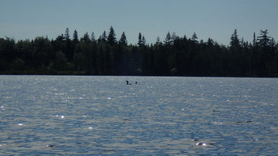 P9050041.jpg