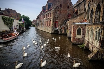 2017-Brussels and Brugge