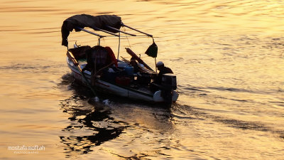 Fisherman Boat