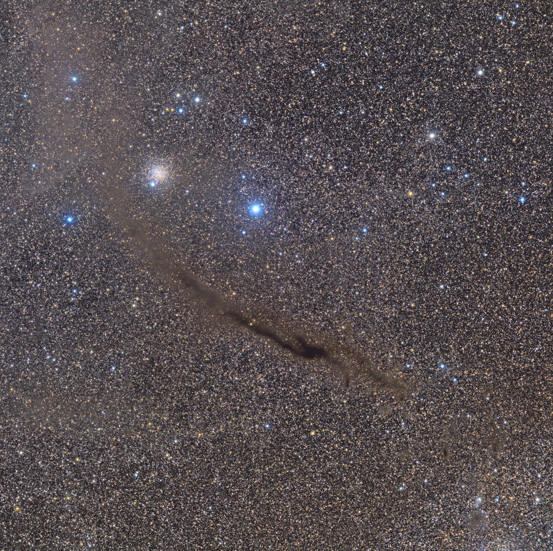 The Dark Doodad in Musca