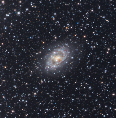 NGC 6300 in Ara