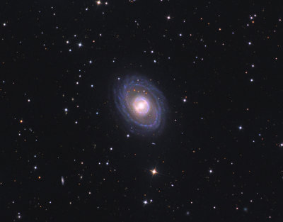 NGC 1398 in Fornax