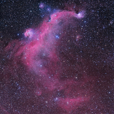 IC2177 The Seagull Nebula